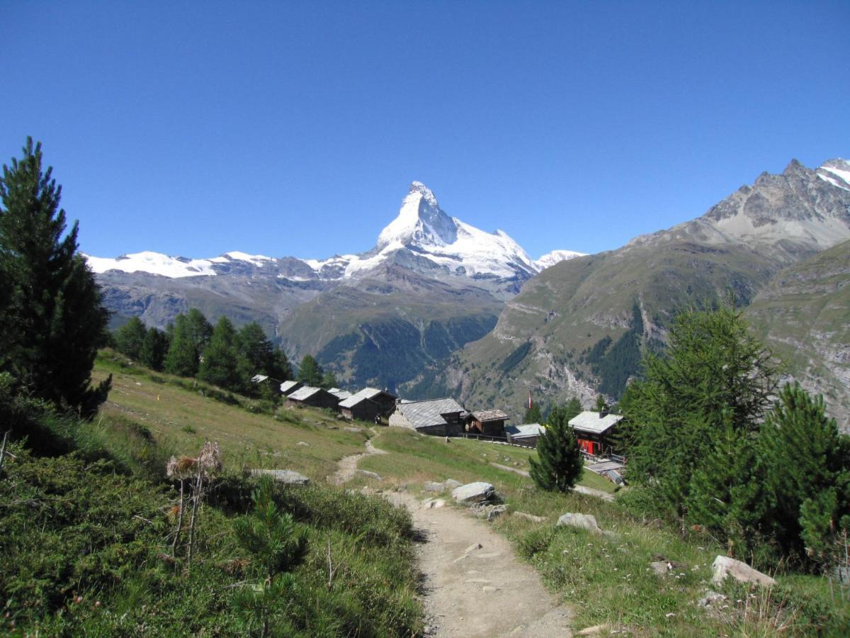 St- Bernhard *